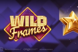 Wild Frames 