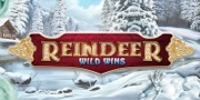 Reindeer Wild Wins