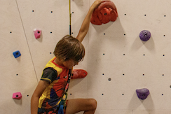 climbers
