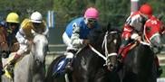 eBet Online horse race wagering