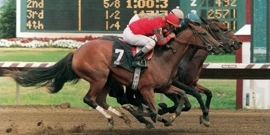 BetAmerica - Ellis Park racing