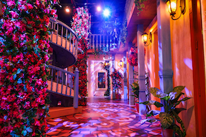 Encanto experience