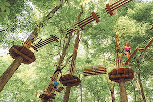 goape