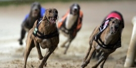 Sportech plc