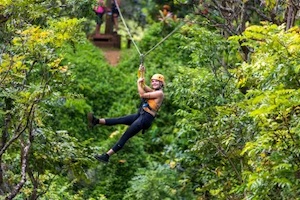 Hawaii Botanical Gardens Zipline