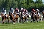 Horse race