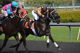 Horseracing