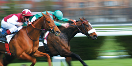 Horse racing