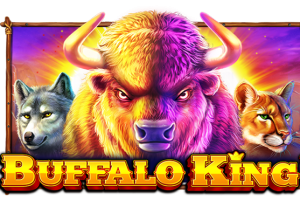 Buffalo King 