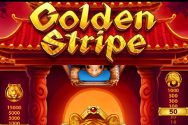 Golden Stripe 