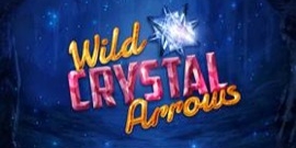 Wild Crystal Arrows
