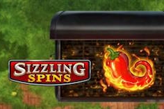Sizzling Spins