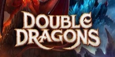 Double Dragons