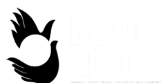 Magic Planet