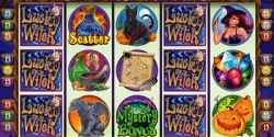 Lucky Witch