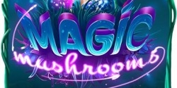 Magic Mushrooms