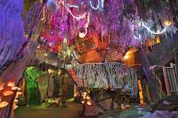 meow wolf