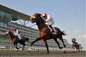 Meydan 