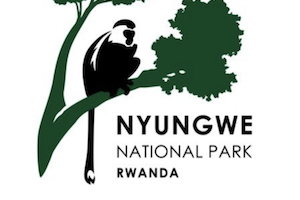 Nyungwe National Park