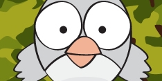 Crazy Owls