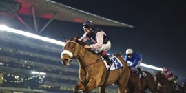 Meydan Racecourse