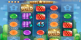 Reel Rush