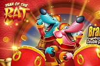 Year of the Rat 