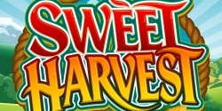 Sweet Harvest
