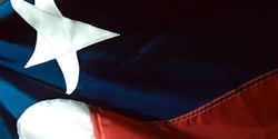 State flag of Texas