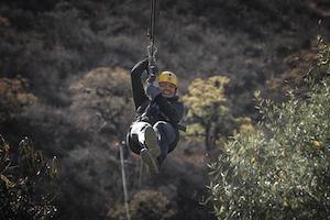 Zip-line